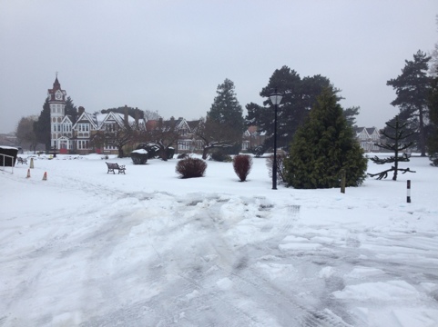 20120206-120654.jpg